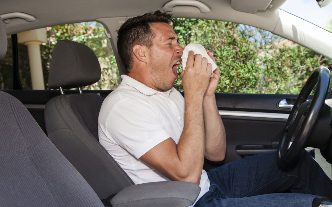 EZ Car Wash Clean Car Helps Allergy Sufferers