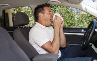 A Clean Car Helps Allergy Sufferers
